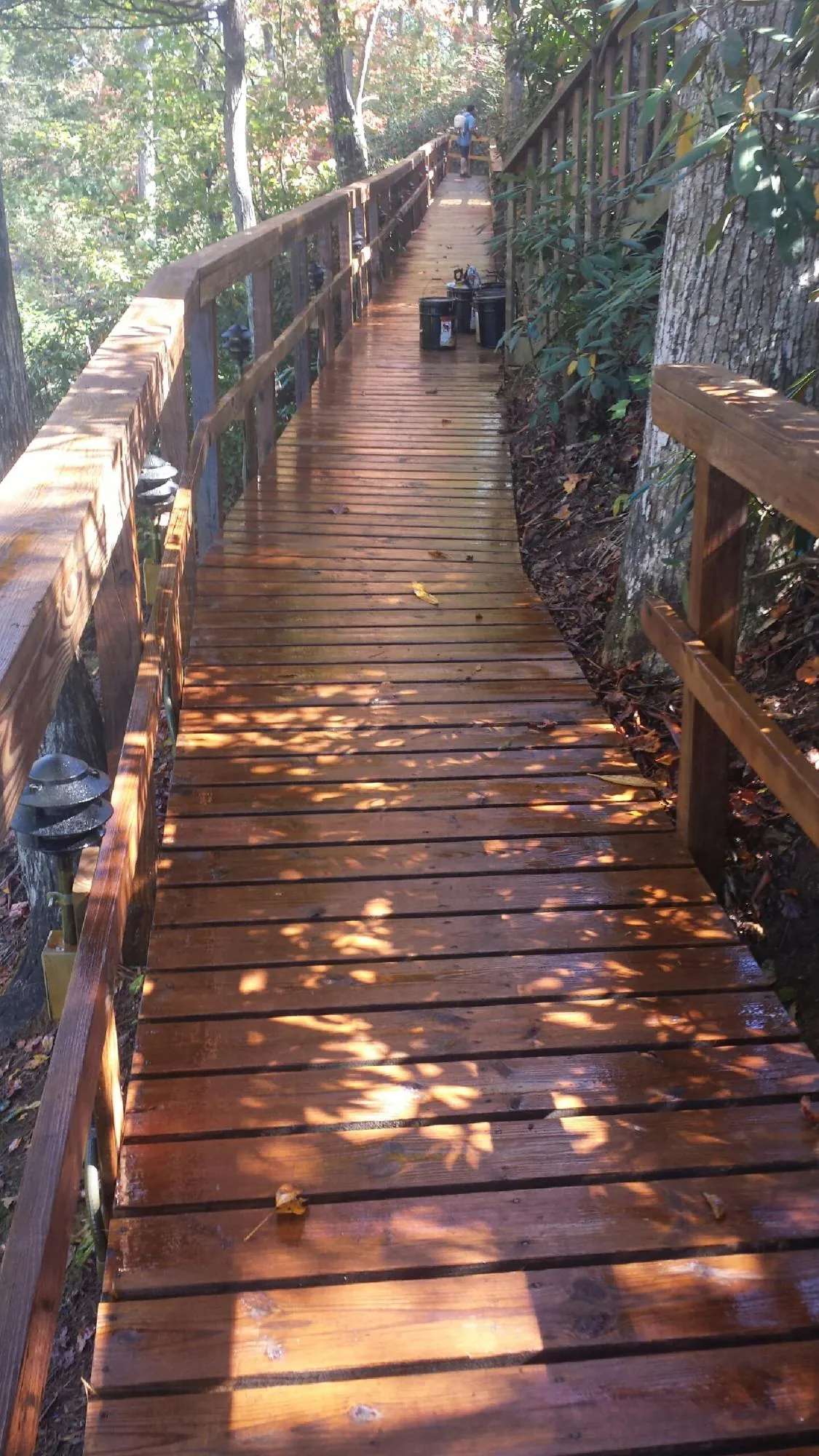 Freshly stained wood walkway winding through the woods in Harrisburg